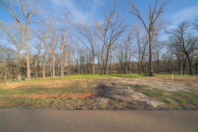 Lake Lot For Sale in Leesburg, Texas