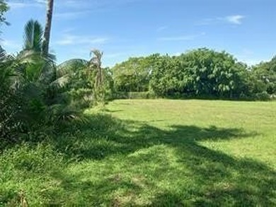 SMALL CHURCH ON 1.75 ACRAE FOR SALE FRUIT TREE AND MORE CHURCH - photo 3