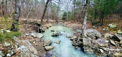 (private lake, pond, creek) Acreage For Sale in Clayton Oklahoma