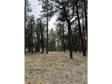 Discover the perfect blend of beauty and value in Divide Ranch - photo 2
