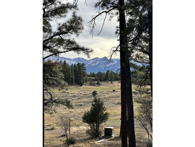 Discover the perfect blend of beauty and value in Divide Ranch - photo 3