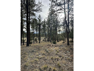 Discover the perfect blend of beauty and value in Divide Ranch - photo 5