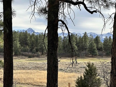 Discover the perfect blend of beauty and value in Divide Ranch - photo 6