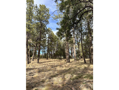 Discover the perfect blend of beauty and value in Divide Ranch - photo 7