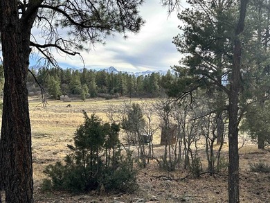 Discover the perfect blend of beauty and value in Divide Ranch - photo 8