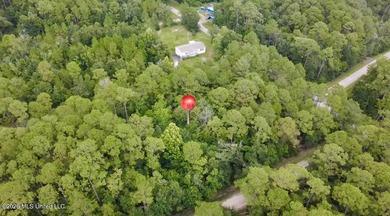 Beautiful wooded lot just under an acre, ideally located only 5 - photo 1