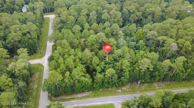 Beautiful wooded lot just under an acre, ideally located only 5 - photo 3