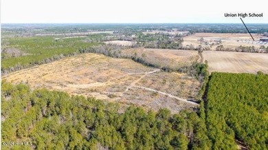 (private lake, pond, coastal) Acreage For Sale in Rose Hill North Carolina