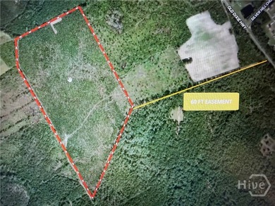 (private lake, pond, coastal) Acreage For Sale in Springfield Georgia