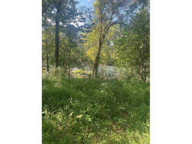 Nice property with lots of potential, River front would be ideal - photo 13