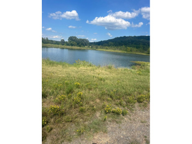 Nice property with lots of potential, River front would be ideal - photo 14
