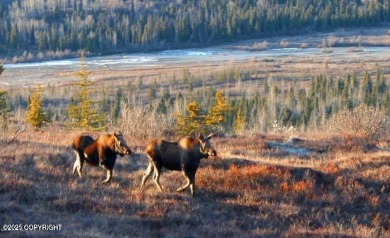Lake Acreage For Sale in Chickaloon, Alaska
