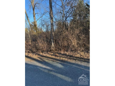 Lake Lot For Sale in Athens, New York