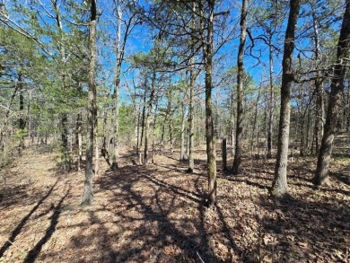 Kiamichi River Acreage For Sale in Muse Oklahoma