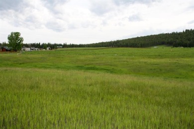 Lake Koocanusa Lot For Sale in Rexford Montana