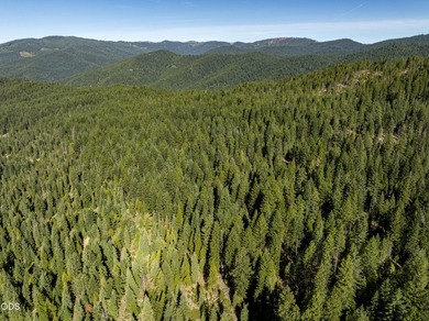 The Four Corners Ranch offers 897.32 acres of productive - photo 24