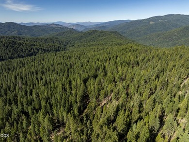 The Four Corners Ranch offers 897.32 acres of productive - photo 25