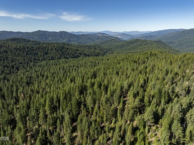 The Four Corners Ranch offers 897.32 acres of productive - photo 27