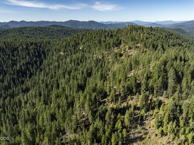 The Four Corners Ranch offers 897.32 acres of productive - photo 29