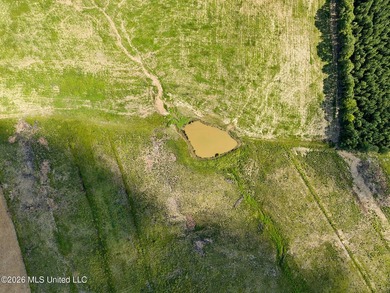 If you've been looking for a turnkey hunting, farming, or - photo 10