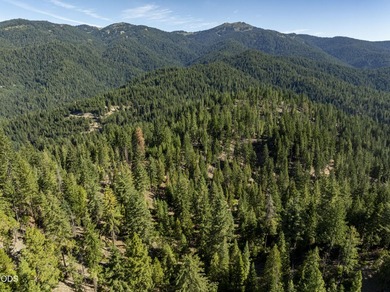 The Four Corners Ranch offers 897.32 acres of productive - photo 32
