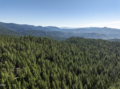 The Four Corners Ranch offers 897.32 acres of productive - photo 34