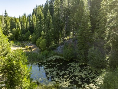 The Four Corners Ranch offers 897.32 acres of productive - photo 38