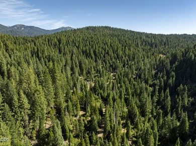 The Four Corners Ranch offers 897.32 acres of productive - photo 40