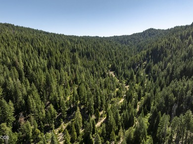 The Four Corners Ranch offers 897.32 acres of productive - photo 41