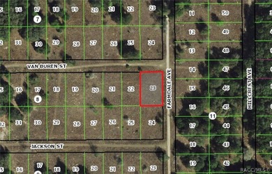 Citrus Lake  Lot Sale Pending in Inverness Florida