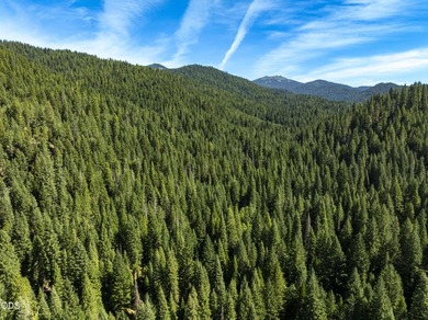 The Four Corners Ranch offers 897.32 acres of productive - photo 43