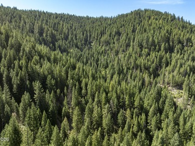 The Four Corners Ranch offers 897.32 acres of productive - photo 44