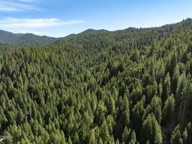 The Four Corners Ranch offers 897.32 acres of productive - photo 45