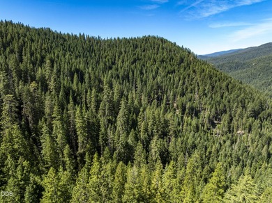 The Four Corners Ranch offers 897.32 acres of productive - photo 48
