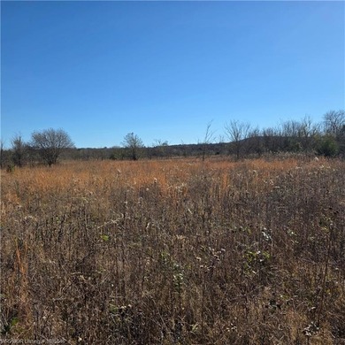 Discover wide-open potential on this spacious 10.51-acre tract - photo 11