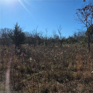 Discover wide-open potential on this spacious 10.51-acre tract - photo 14