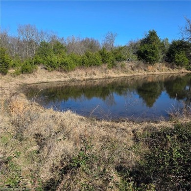 Discover wide-open potential on this spacious 10.51-acre tract - photo 15