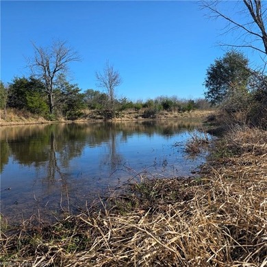 Discover wide-open potential on this spacious 10.51-acre tract - photo 16