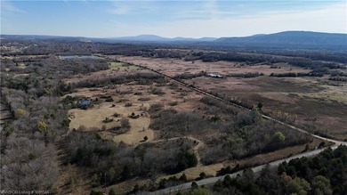 Discover wide-open potential on this spacious 10.51-acre tract - photo 18