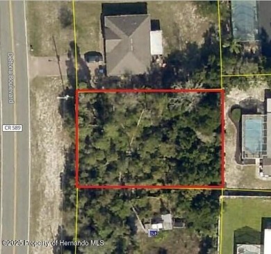 Weeki Wachee Lake Lot For Sale in Spring Hill Florida