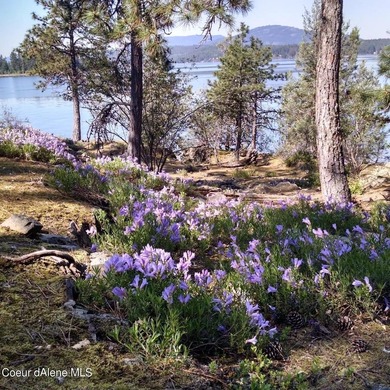Welcome to historic Cottage Island, a picturesque retreat - photo 27