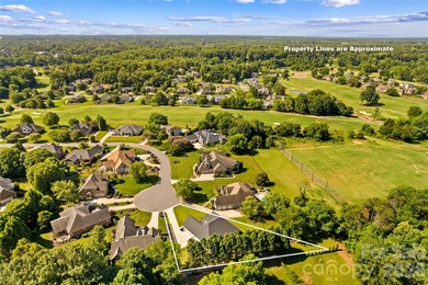 Buy 547 Muirfield Way in The Crescent Vistas and enjoy elegant - photo 37