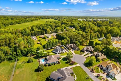 Buy 547 Muirfield Way in The Crescent Vistas and enjoy elegant - photo 38