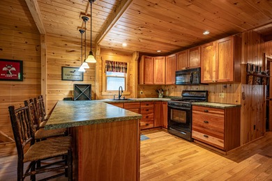 ''Big Moose Lake Retreat'' - Seasonal Boat Access Only - photo 14