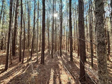 This secluded hunting, recreation and timberland investment - photo 14
