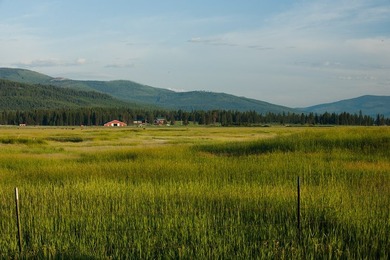 Rare opportunity to acquire a 386 acres, fully developed school - photo 15