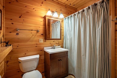 ''Big Moose Lake Retreat'' - Seasonal Boat Access Only - photo 22