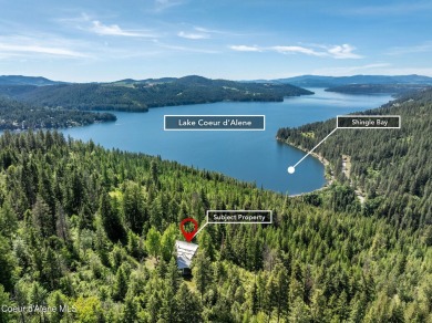 Lake Home For Sale in Harrison, Idaho
