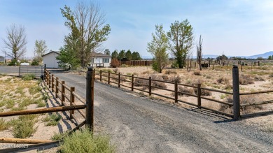 Lake Lahontan Home For Sale in Silver Springs Nevada