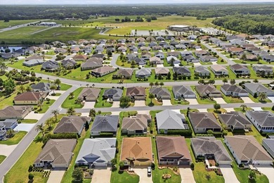 Welcome to the Village of Pine Ridge, one of The Villages most - photo 45